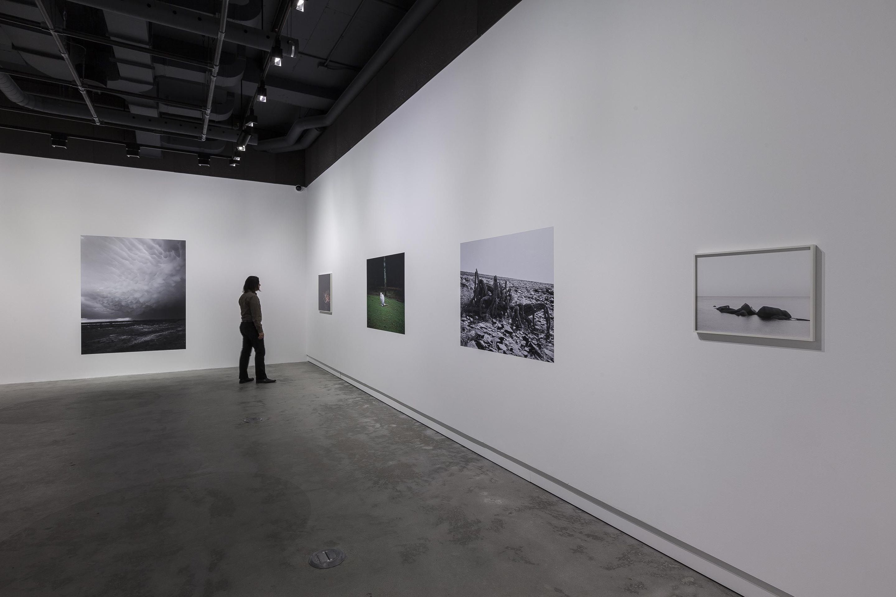 Vue de l’exposition _Geert Goiris_, VOX, du 2 mai au 28 juin 2014. Photo : Michel Brunelle.