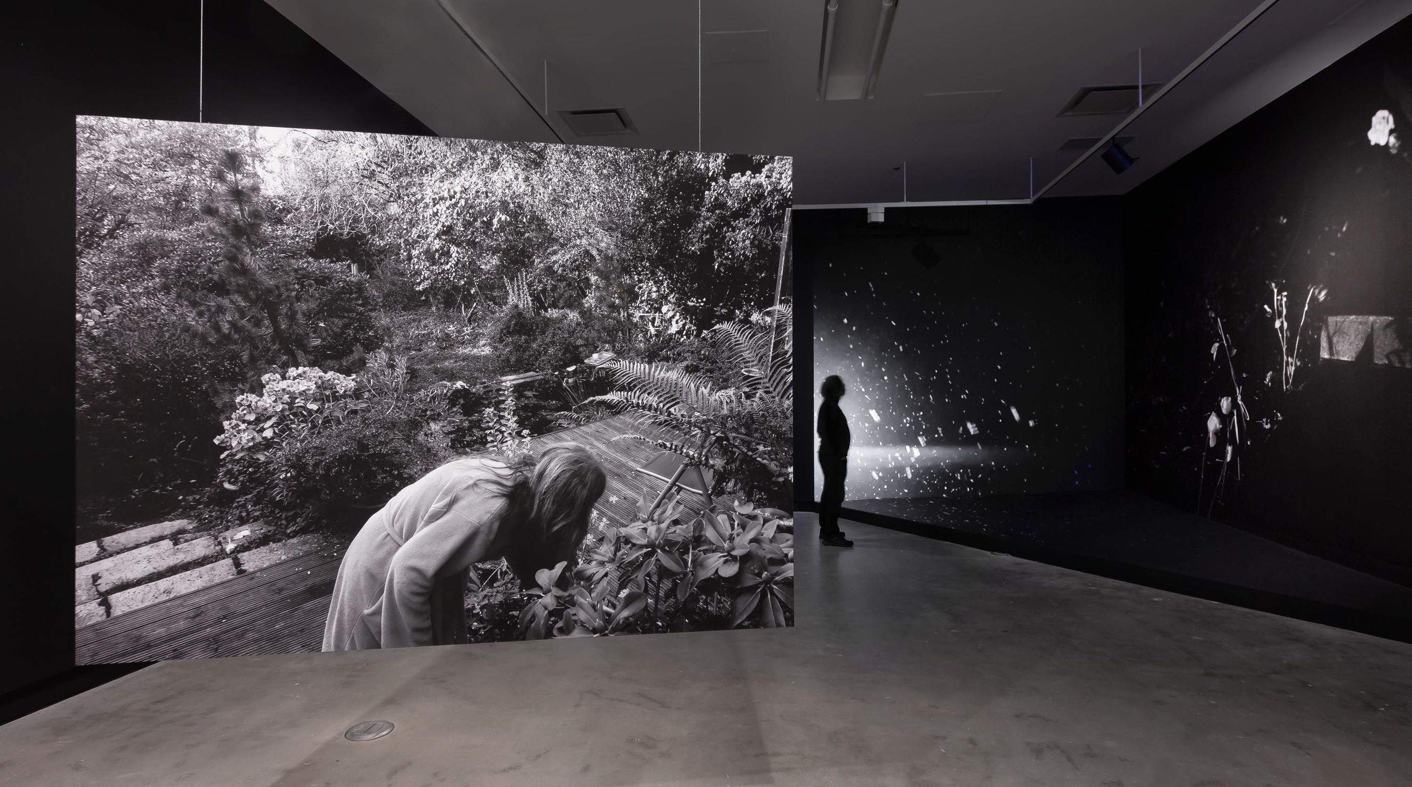 Exposition Anne-Marie Proulx, Être jardin, VOX, 2023