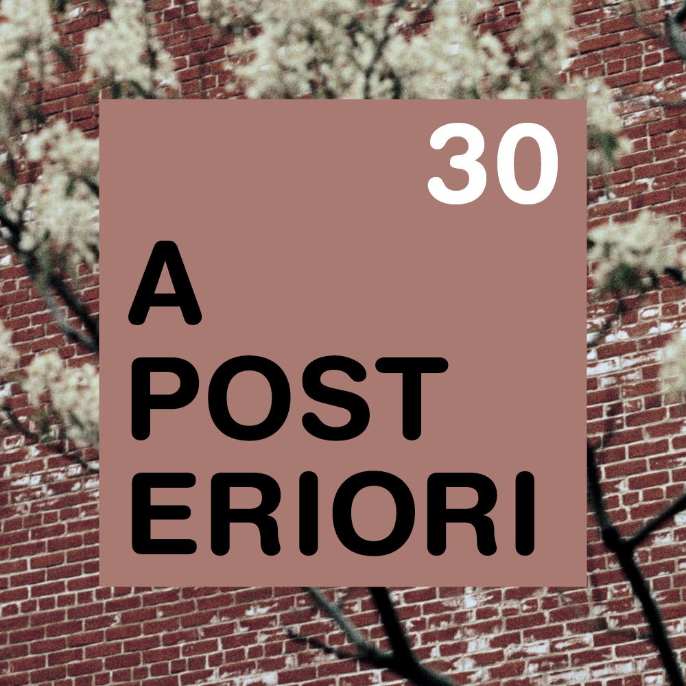 A Posteriori 30 - Anne-Marie Proulx