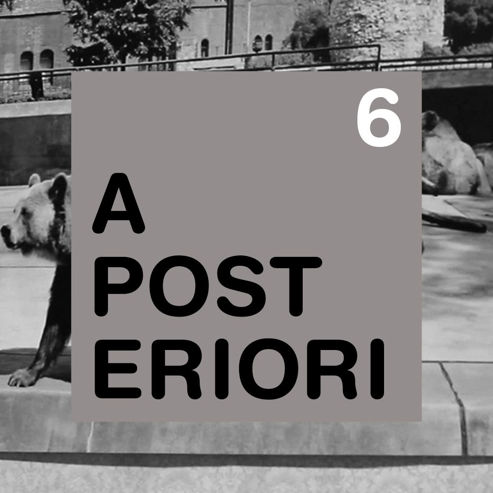 A Posteriori 06 - Lina Selander