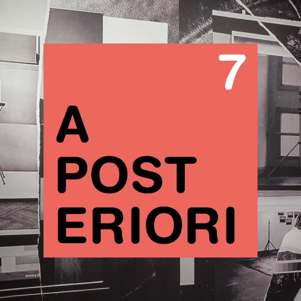 A Posteriori 07 - David Maljković