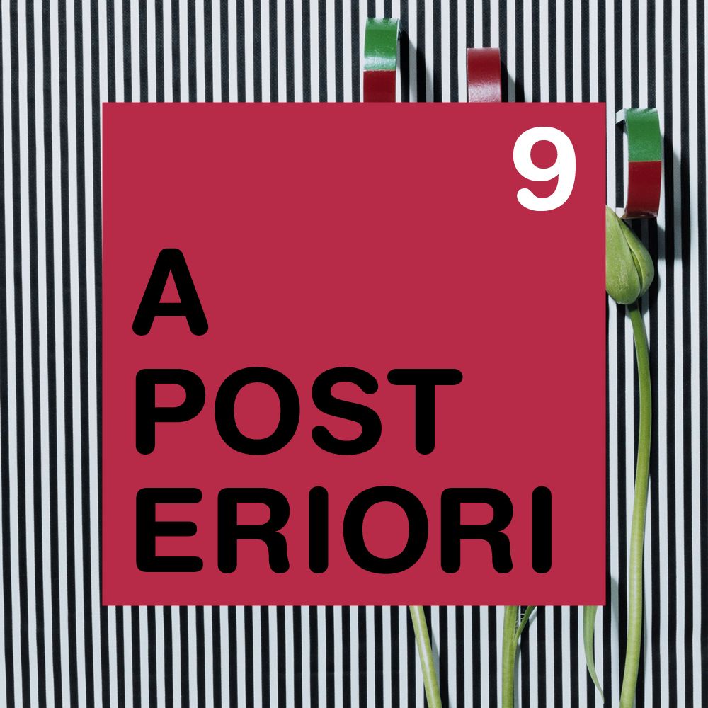 A Posteriori 09 - Annette Kelm
