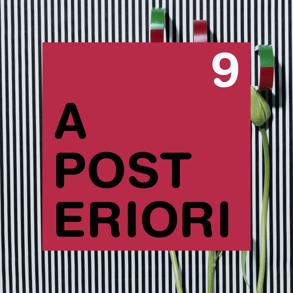 A Posteriori 09 - Annette Kelm