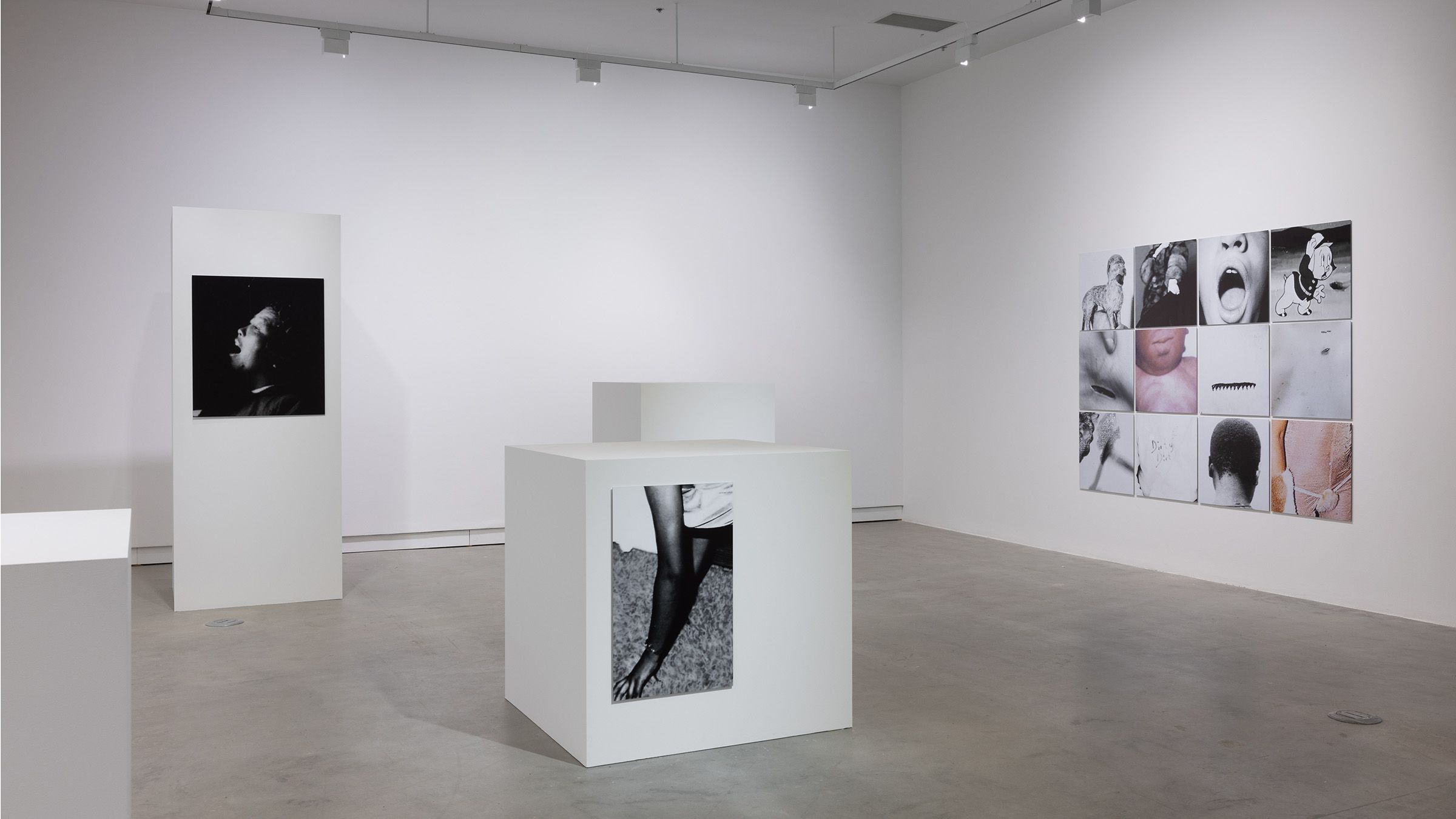 Vue de l’exposition Frida Orupabo. On Lies, Secrets and Silence à VOX