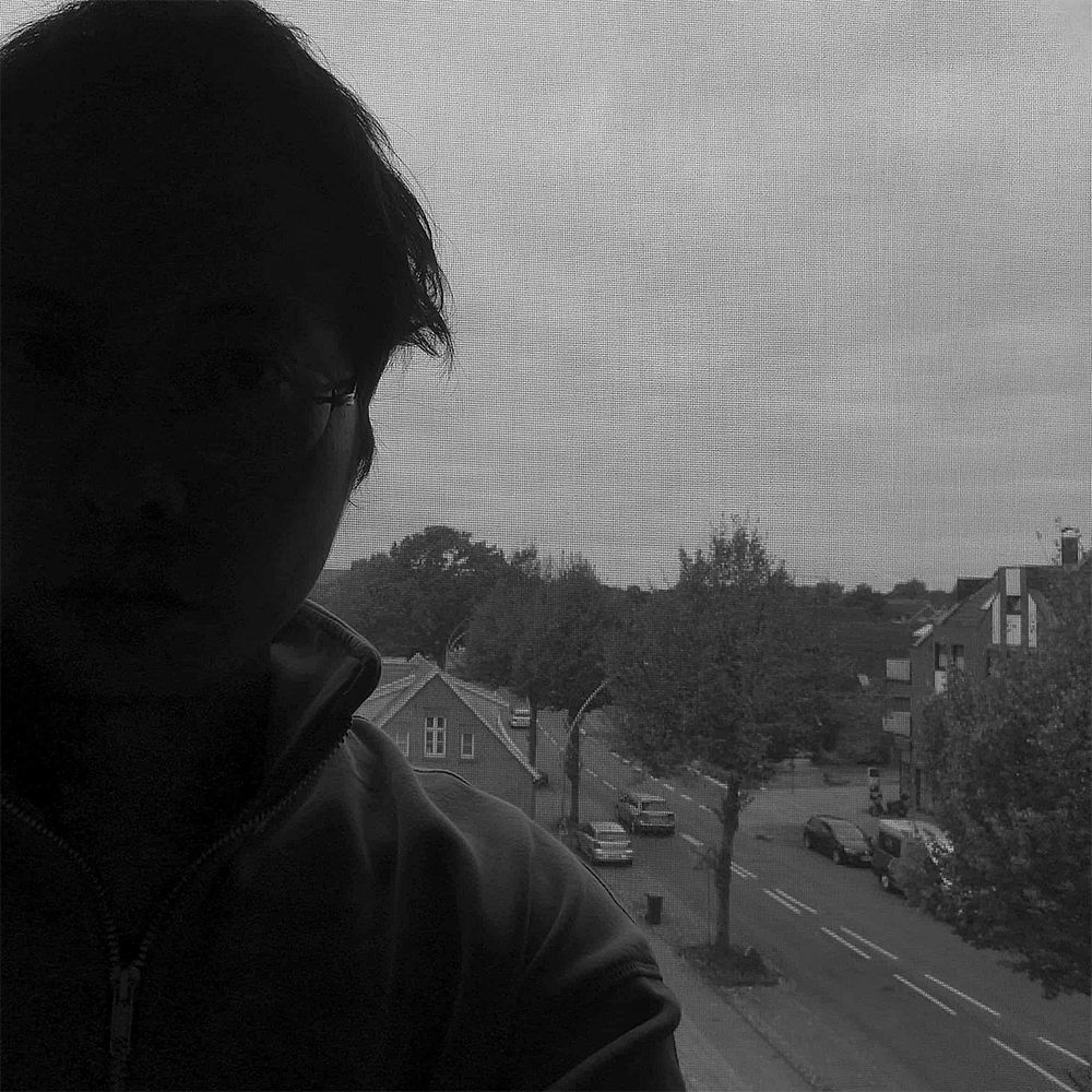 Portrait of Phan Anh.