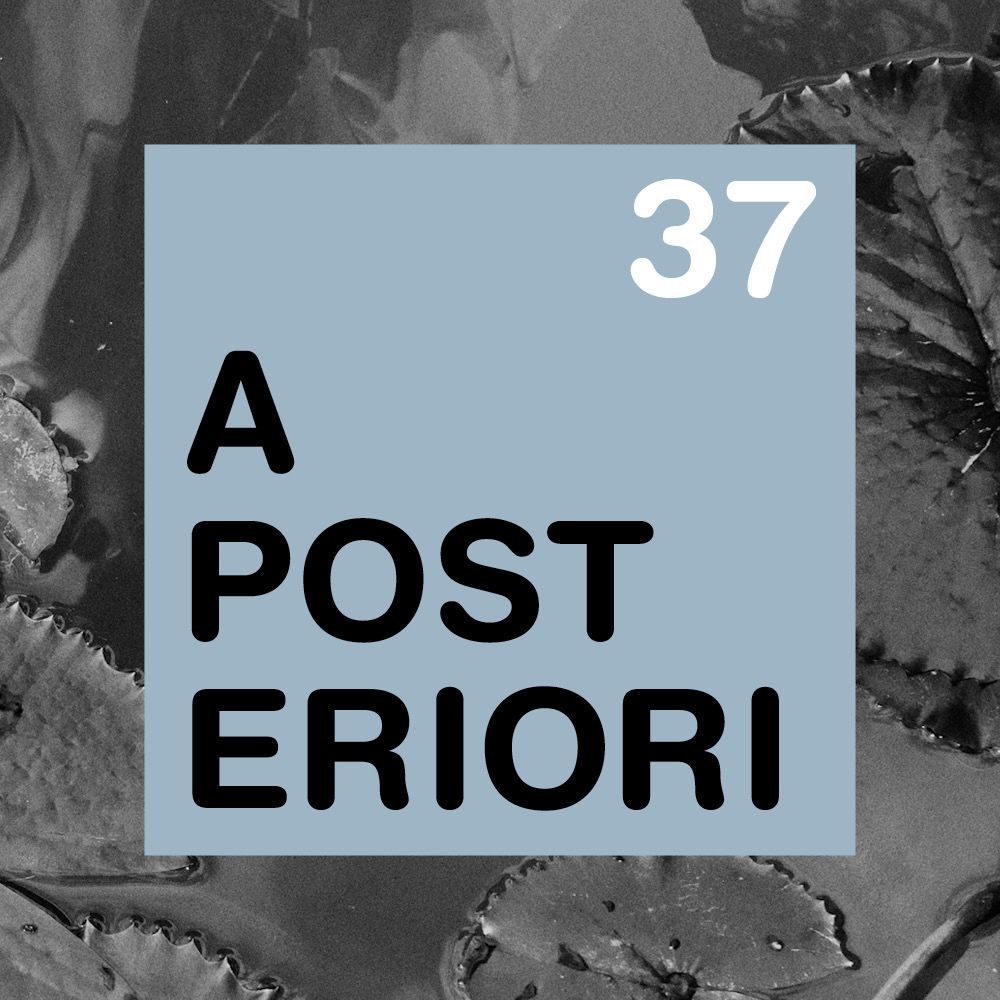 VOX_A Posteriori_37_Mini.jpg