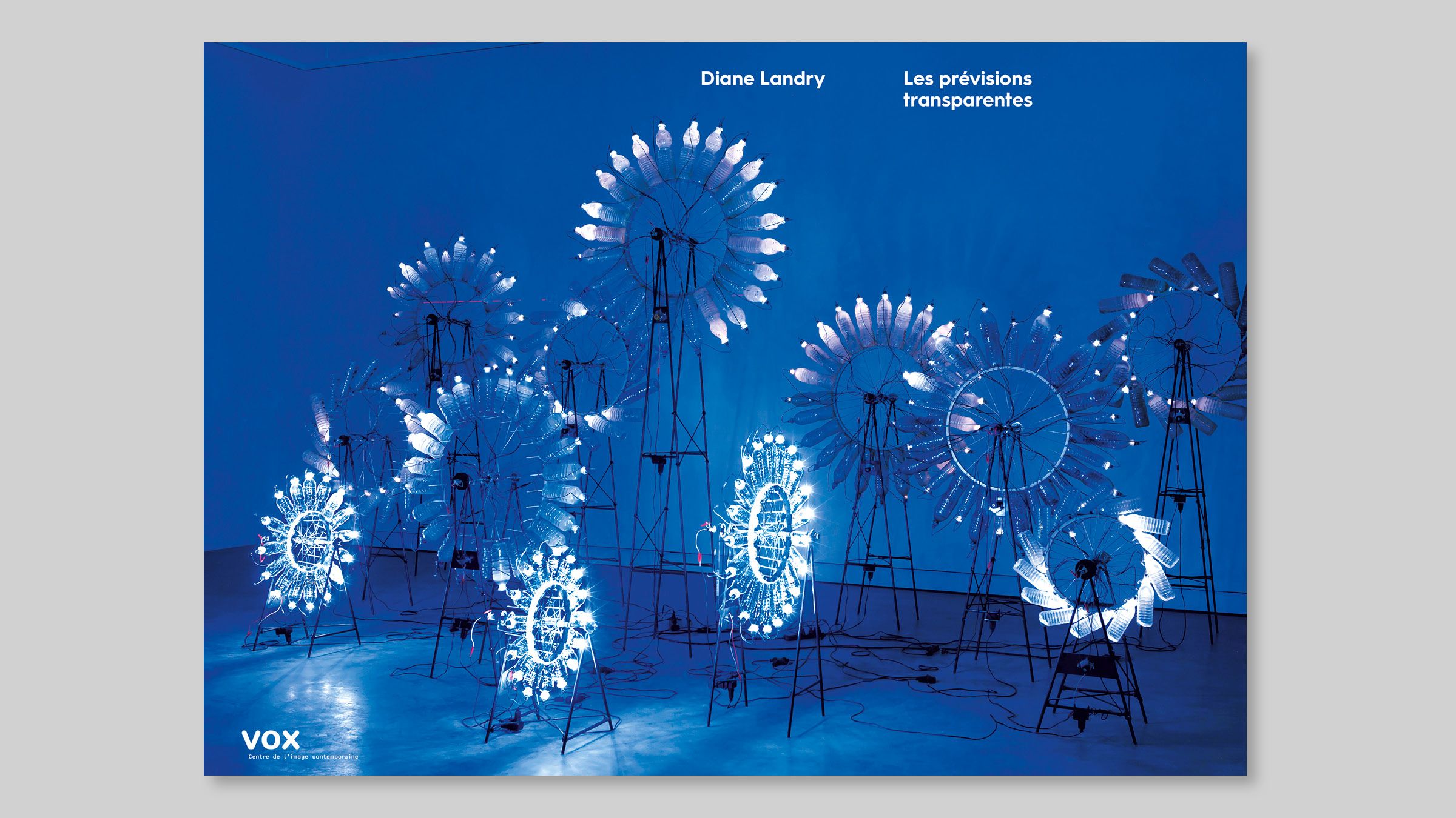 Image de la publication Diane Landry. Les prévisions transparentes publiée par VOX