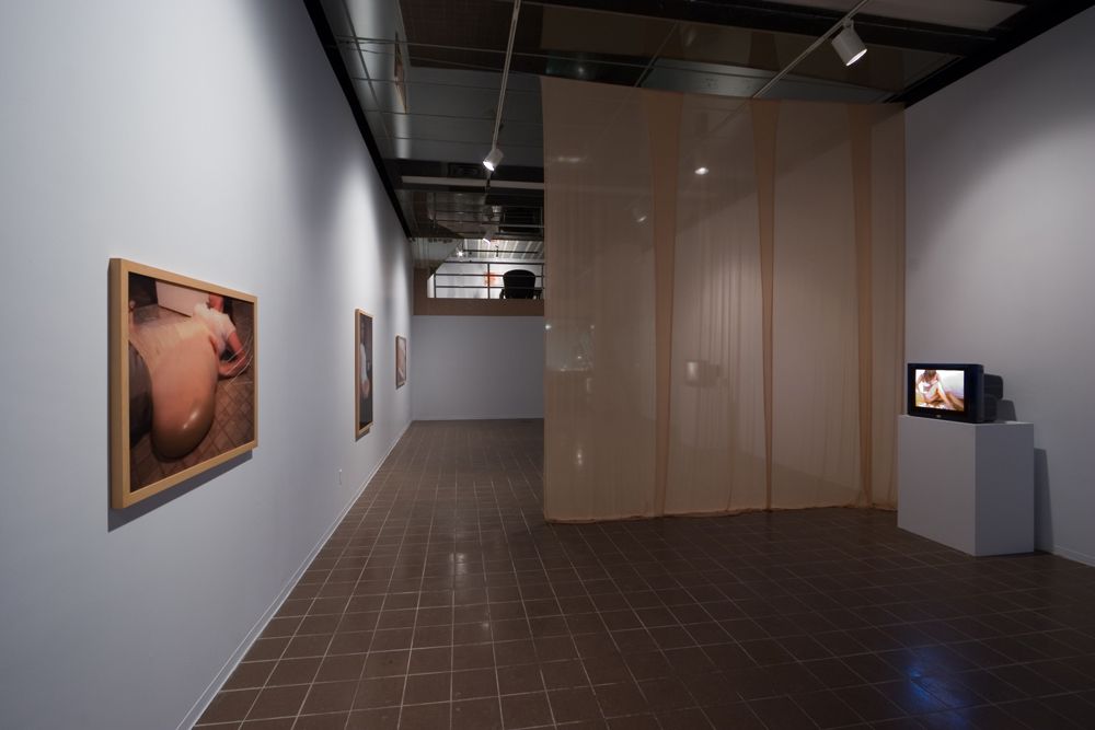 Vue de l'exposition _Jeanne Dunning_, VOX, 2007. Photo : Michel Brunelle.
