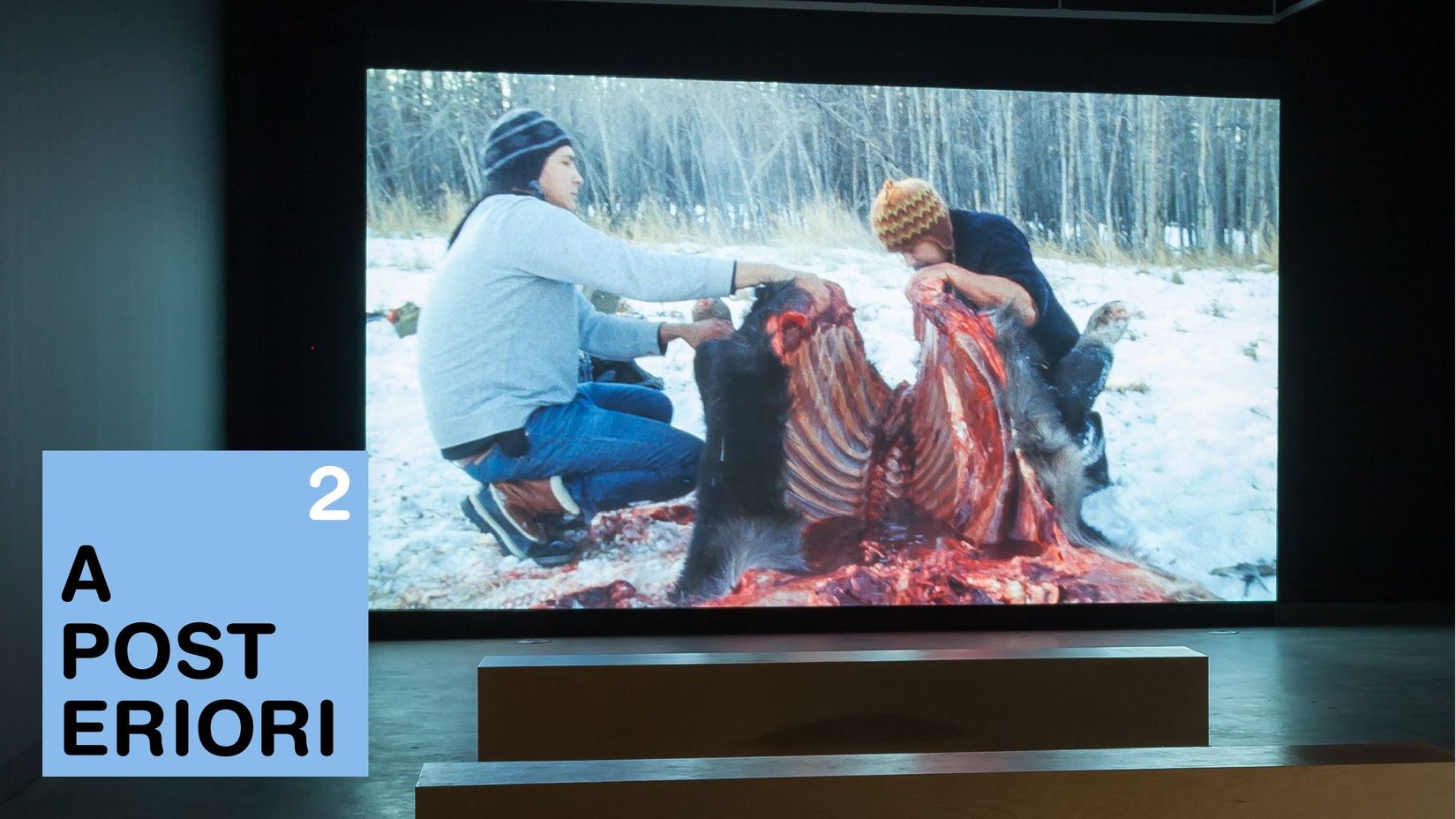 Essai sur Modest Livelihood par Michael Taussing, 2014.