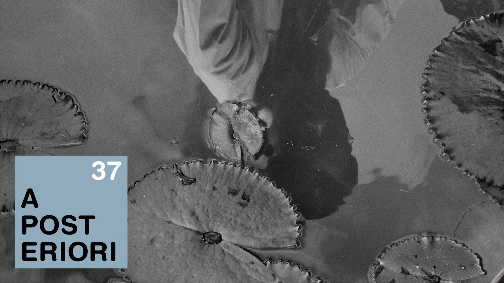 Essay about They Became Myth by Mary Lou David, 2025.