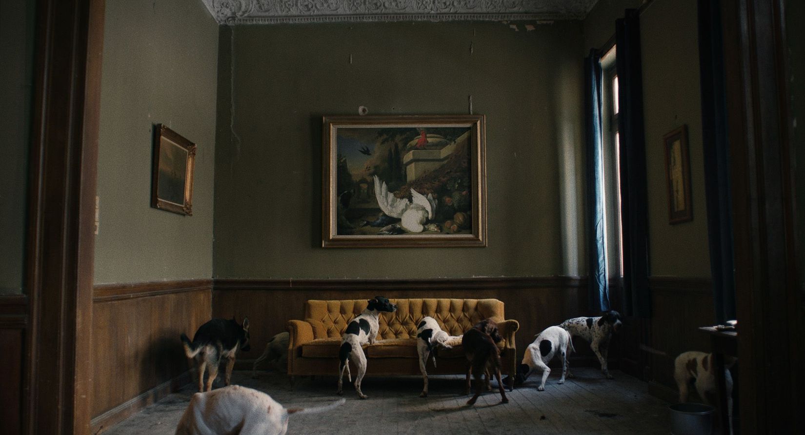 Janis Rafa, Lacerate, 2020