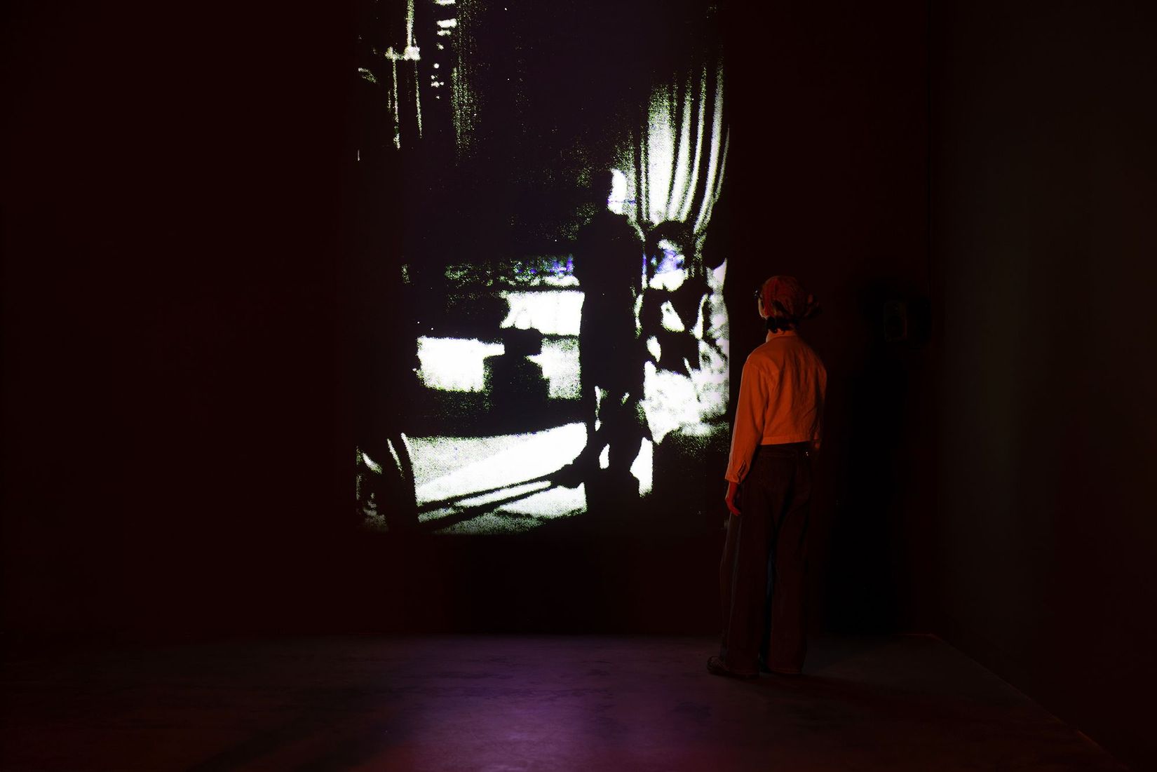 View of the exhibition Lynda Gaudreau. Romances, VOX, 2026. Credit: Michael Patten/VOX.