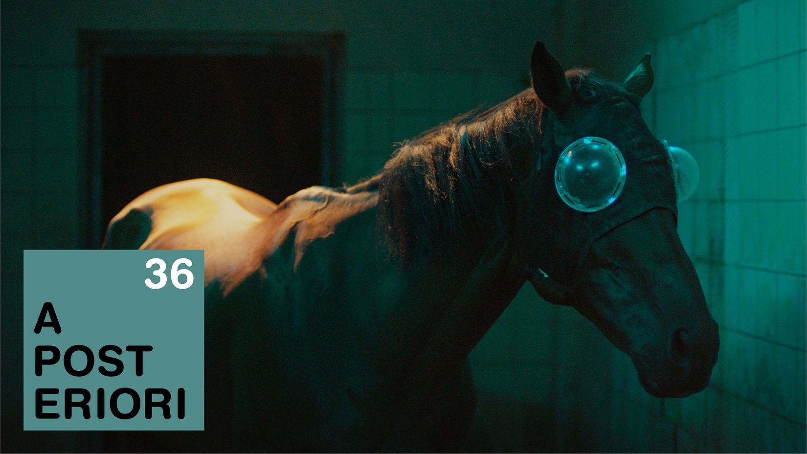 36.A Posteriori_Header2400x1350.jpg