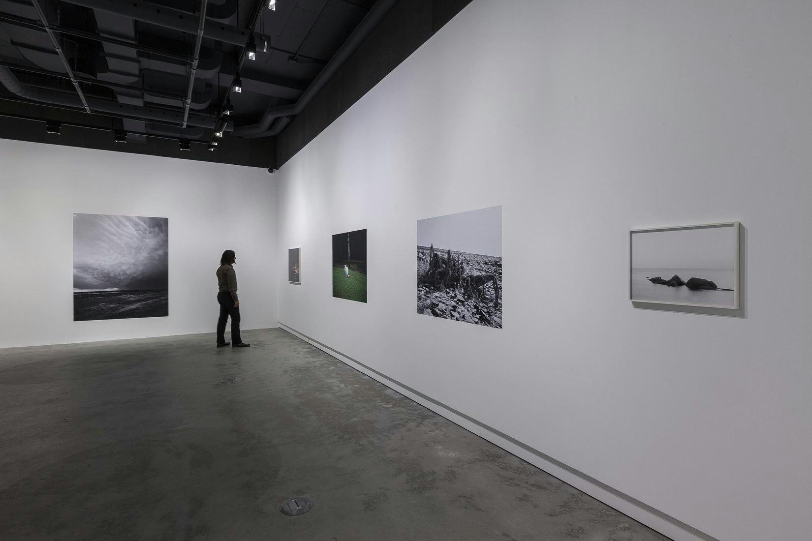View of the exhibition: _Geert Goiris_, VOX, 2014. Photo: Michel Brunelle.