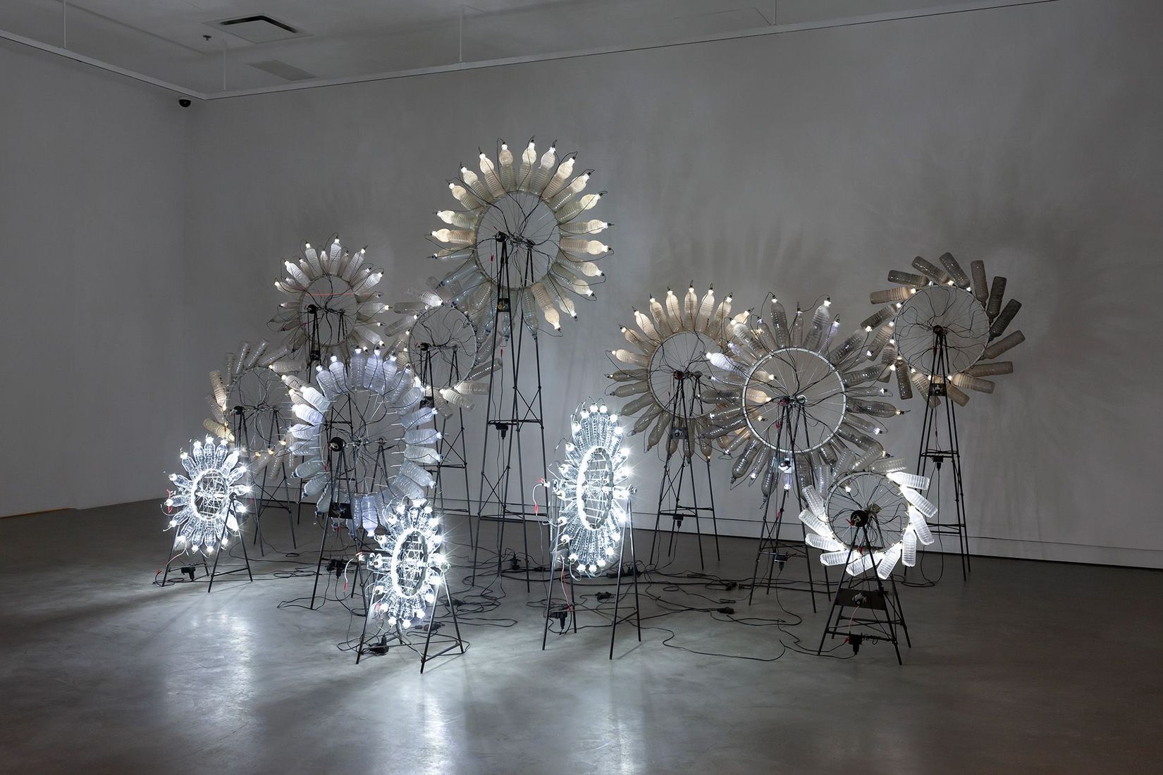 View of the exhibition Diane Landry. Transparent Foretellings, VOX, 2023.