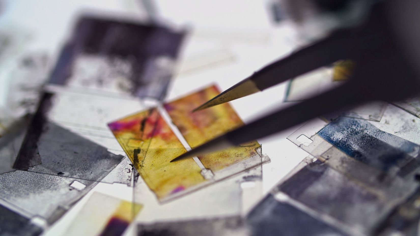 Miles Rufelds, _It’s Not Brakhage_, 2024, still, video, 54 min 39 s. Courtesy of the artist.