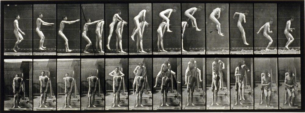 Eadweard Muybridge (1830-1904), _Animal Locomotion_, 1887, phototype, Planche 578, 47,9 x 60,4 cm. Avec l’aimable permission de la Collection du Musée d’art de Joliette, Don de Jack Greenwald.