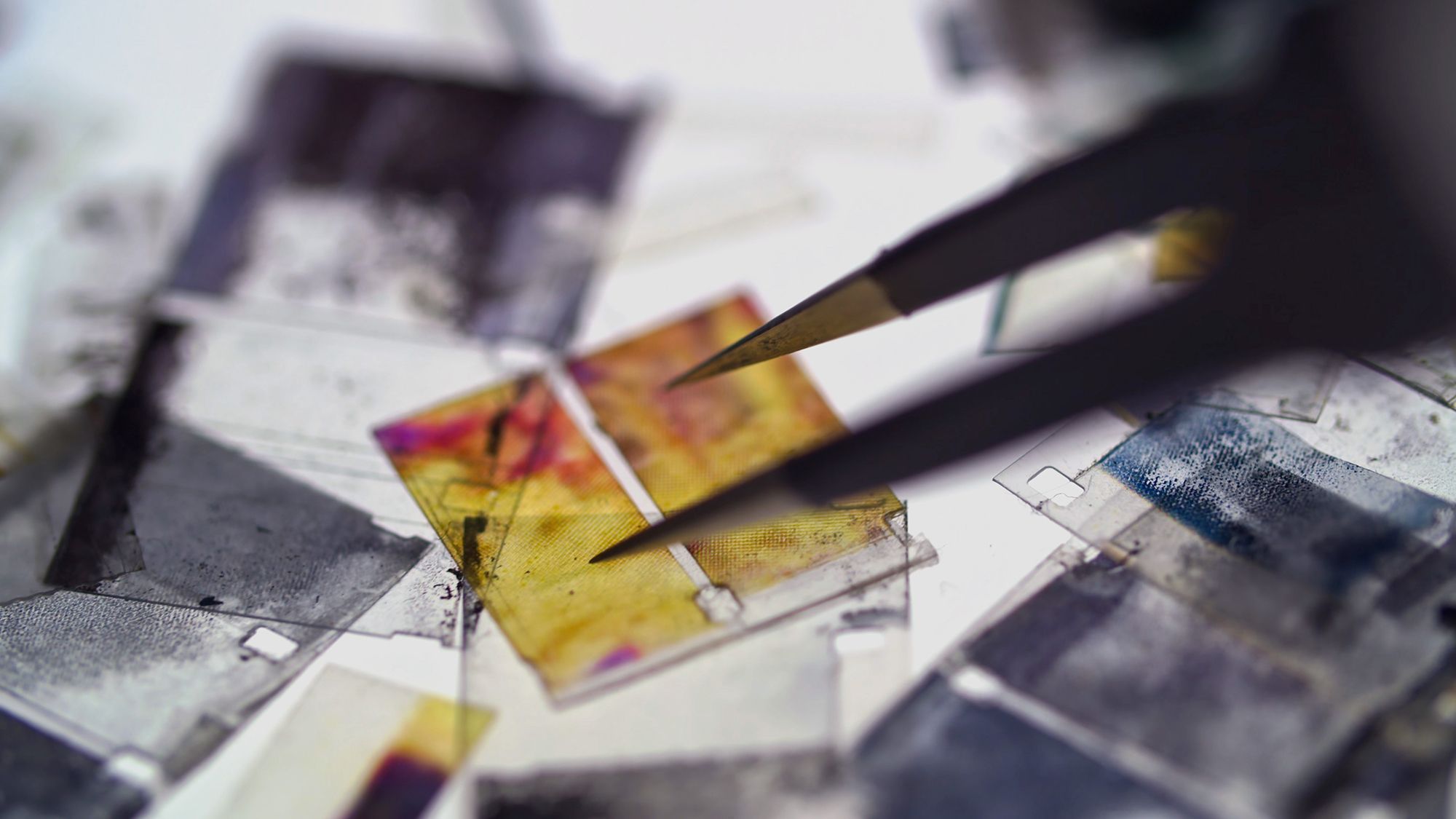 Miles Rufelds, _It’s Not Brakhage_, 2024, still, video, 54 min 39 s. Courtesy of the artist.