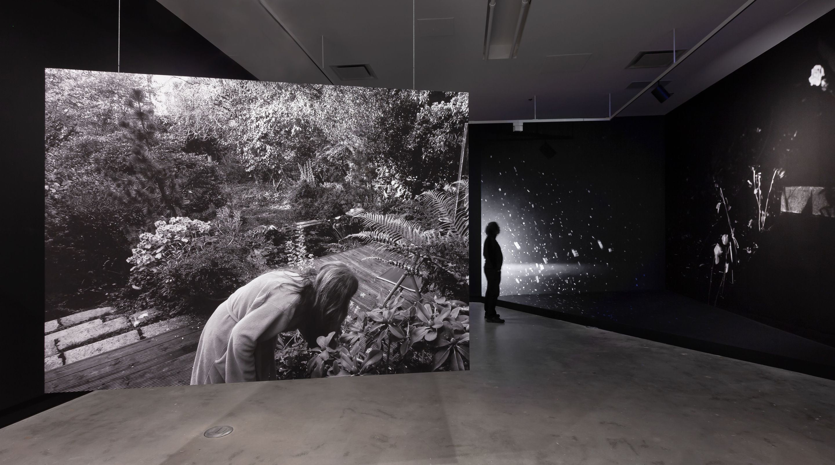 Vue de l'exposition Anne-Marie Proulx, Être jardin, 2023