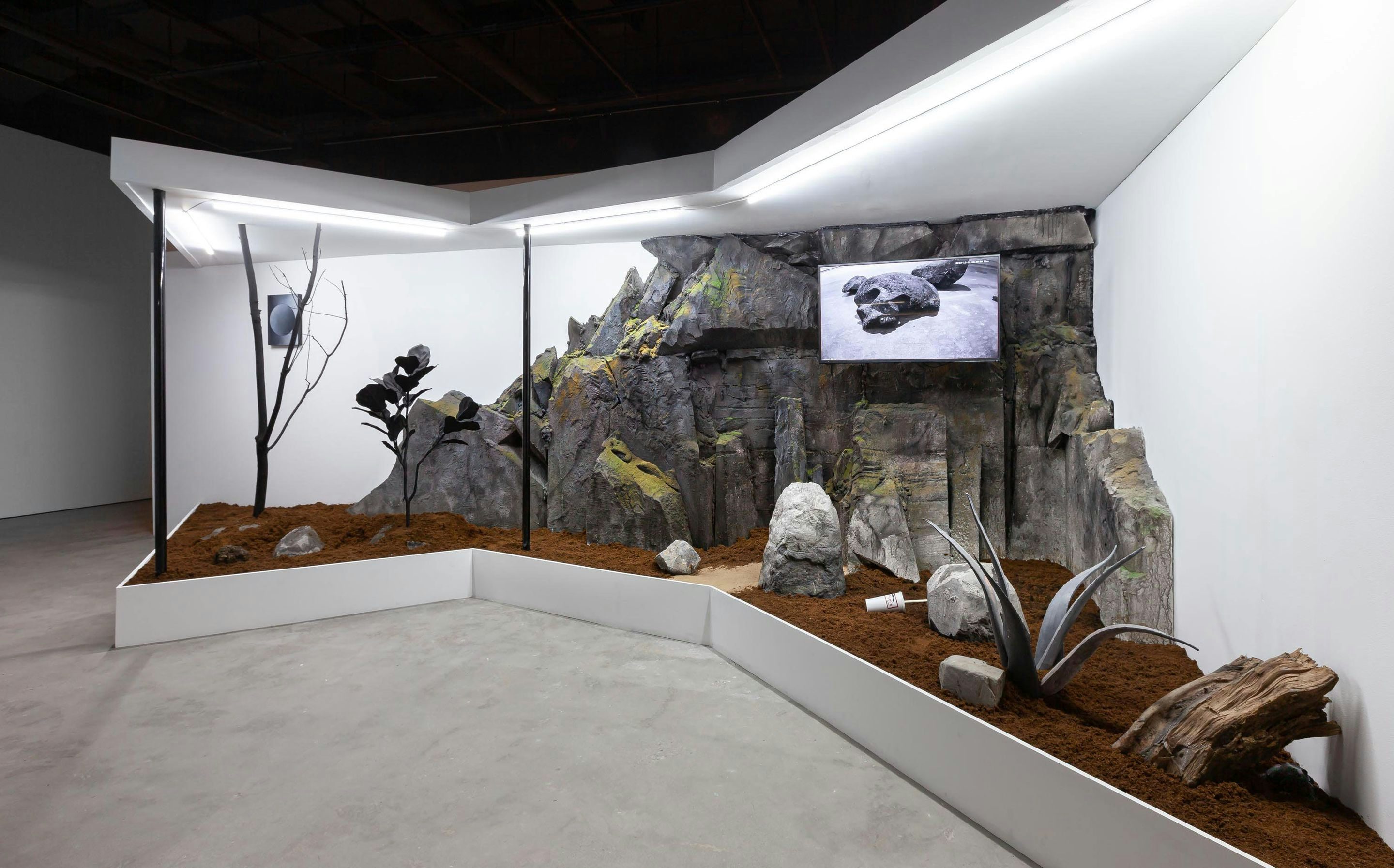 Exhibition View of _Mathieu Cardin. What the Frog’s Eye Tells the Frog’s Brain_, 2020. 