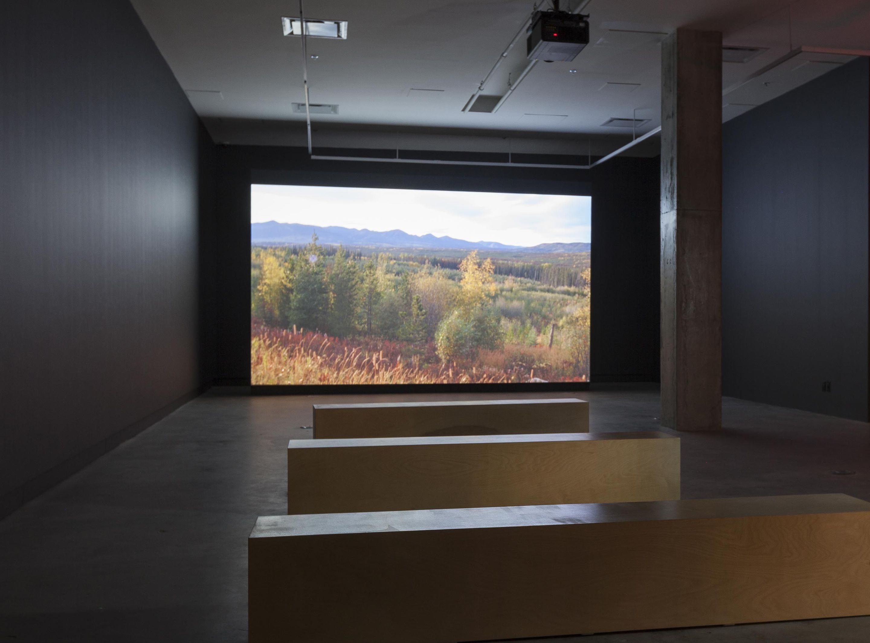 View of the exhibition: _Brian Jungen and Duane Linklater. Modest Livelihood_, VOX, 2014. Photo: Michel Brunelle.